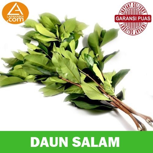 

Daun Salam Bumbu Dapur Sayur Segar Garansi Termurah