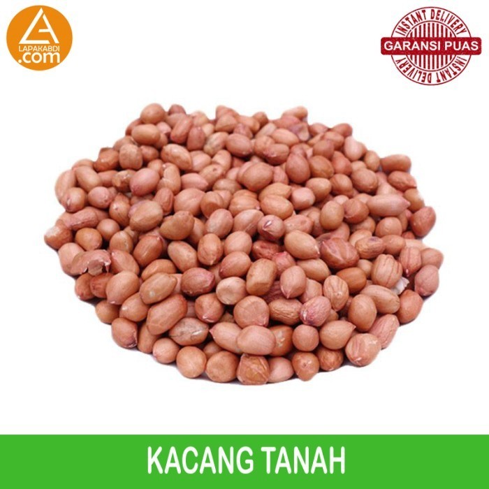 

Kacang Tanah 250gr Sayur Segar Garansi Termurah