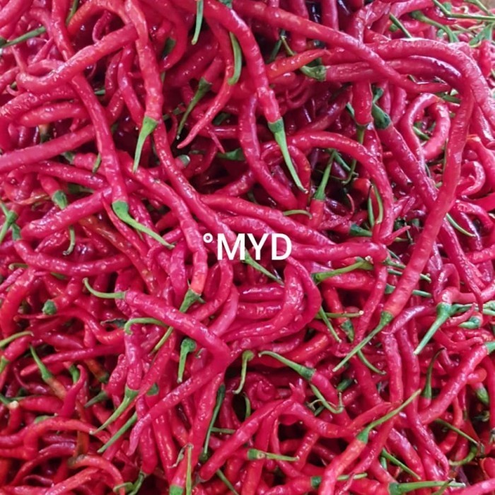 

Cabe Merah Keriting | 1kg - 1 kilogram