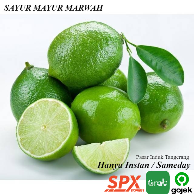 

Grosir Jeruk Nipis Buah Segar 250 gram Murah