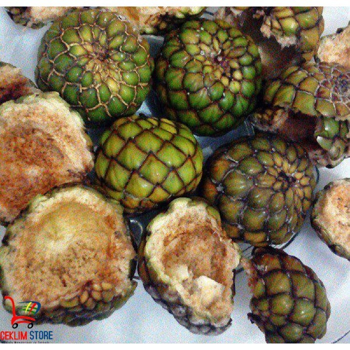 

Buah Rumbia / Salak Hutan Aceh Langka