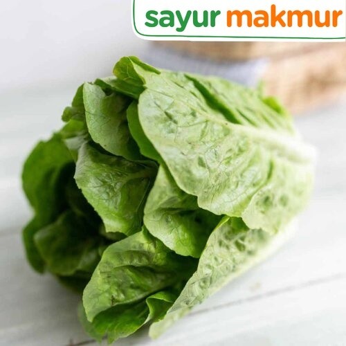 

Selada Romaine Konvensional 250 gram Sayurmakmur