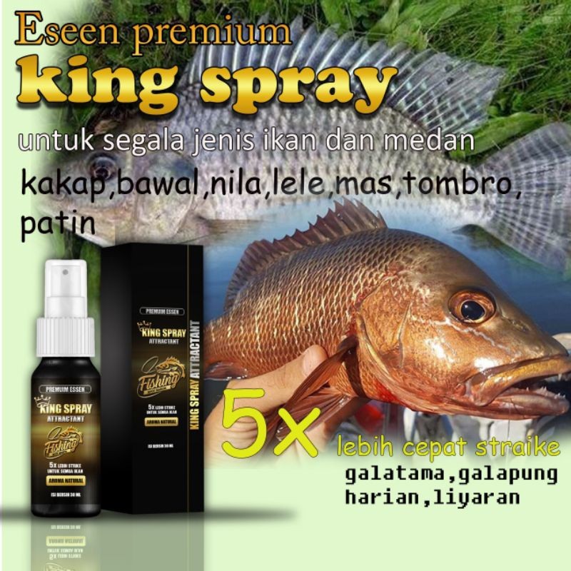 Essen ikan paling gacor King Spray Attractan selagala jenis ikan mas patin nila lele bawal tombro
