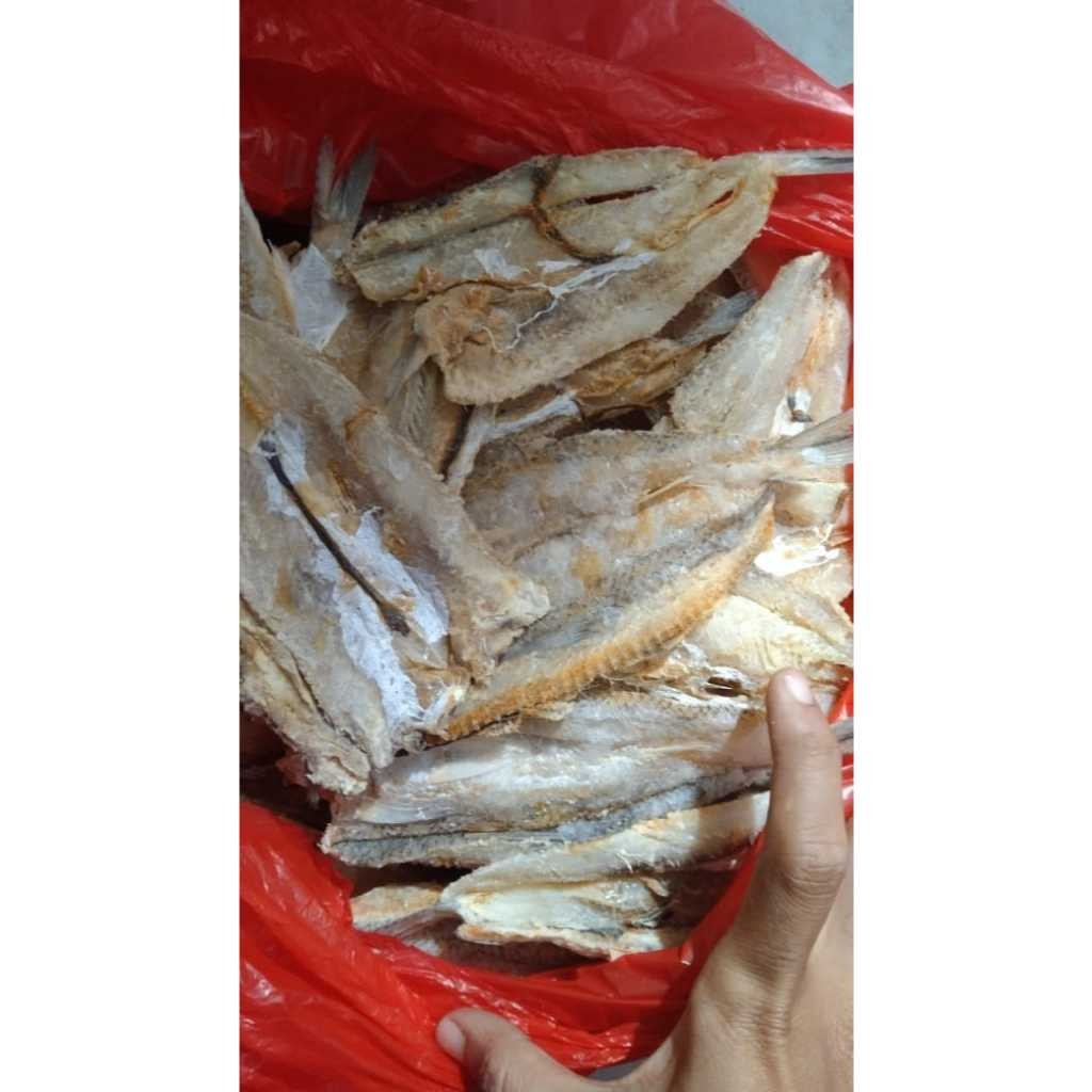 

Ikan asin bloso/ikan gabus laut/ikan asin jenggalak termurah 1 kg