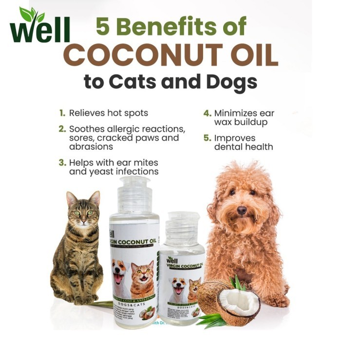 Vitamin Kucing Minyak Virgin Coconut Oil VCO Obat Kucing Anjing Well Minyak Kelapa Obat Anti Jamur S
