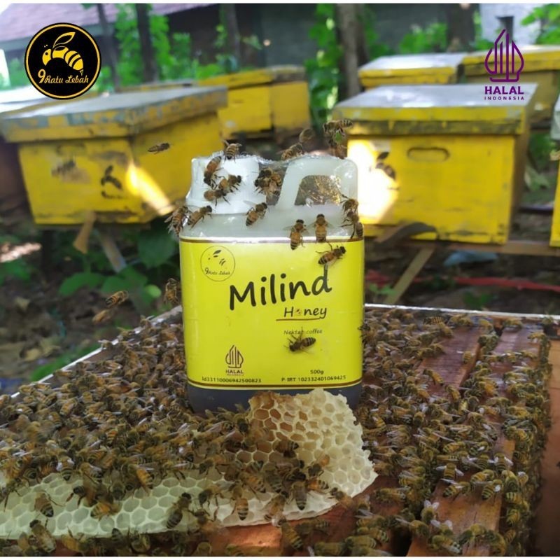

Madu Murni Nektar Kopi 500gr Raw Honey Asli Tanpa Olahan100% Madu Murni & Alami dari Peternakan Sendiri
