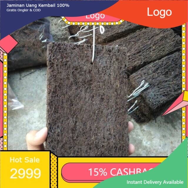 media akar pakis papan lempeng 15x20 anggrek sedang besar sudah ada cantelan nya