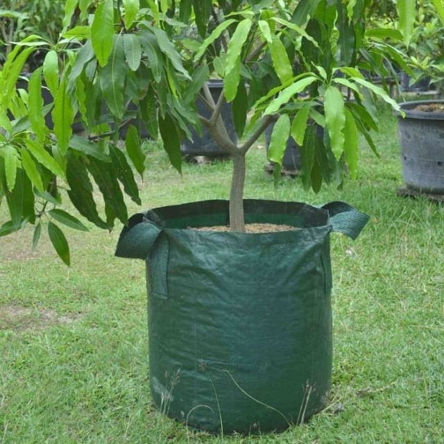 Planter Bag 75 liter