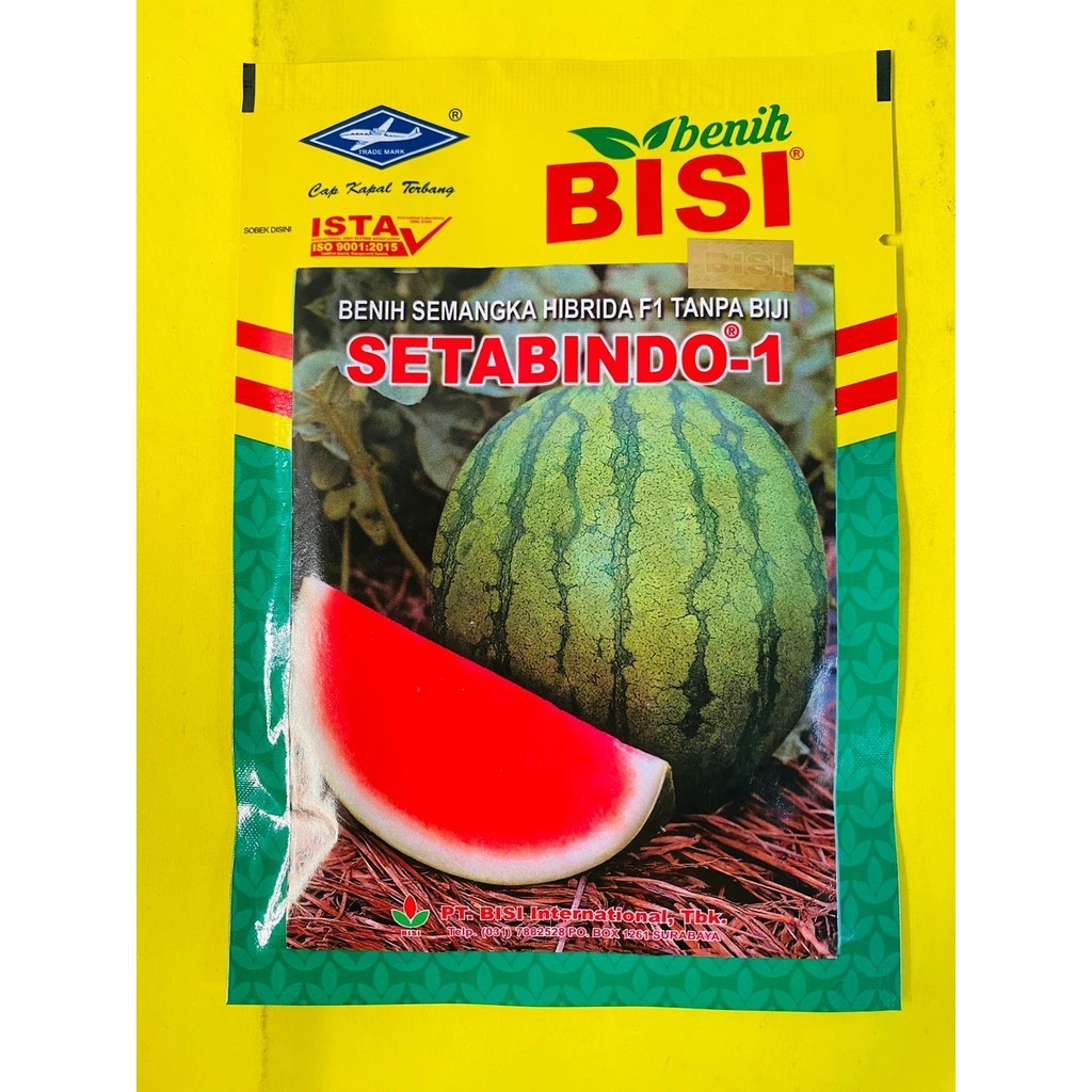Benih semangka hibrida F1 tanpa biji SETABINDO-1 dari cap kapal terbang kemasan 20gram
