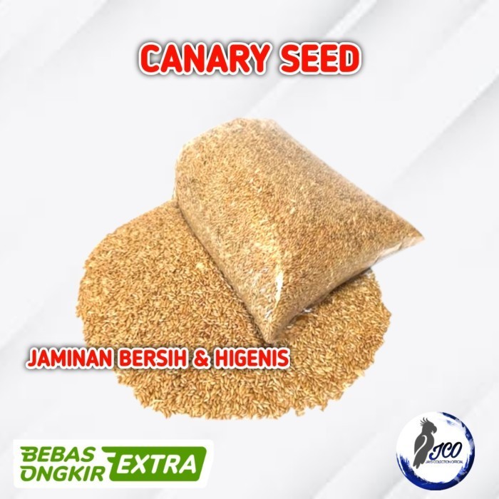 KENARI SEED 1KG MAKANAN BURUNG KENARI CANARY SEED KILOAN KENARI SEED KILOAN BERSIH