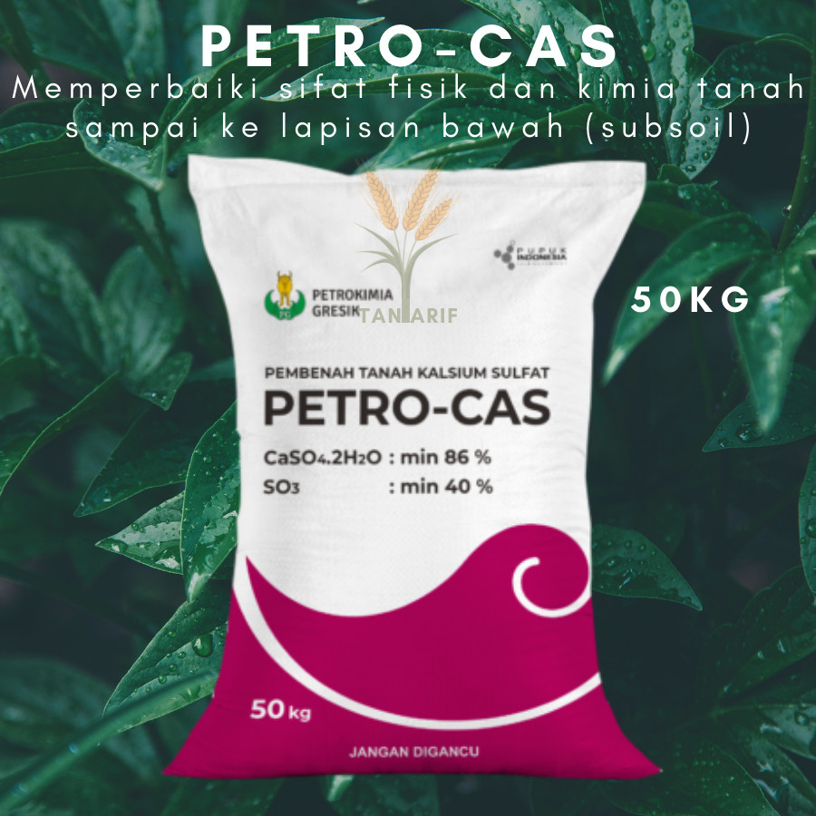 Petrocas Dolomit  Original 1KG Dolomite Petro cas Gresik Murah