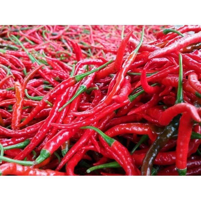 

Cabai Cabe Keriting Merah Curly Red Chili 500 gr - 1 kg