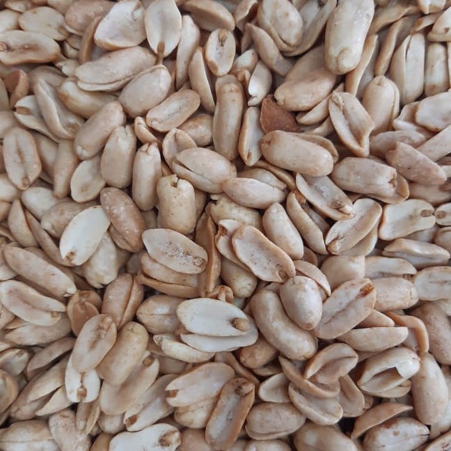 

TLMM Kacang Bawang / Kacang Bali 1000 Gram