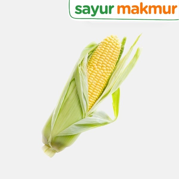 

Jagung Manis Kulit Konvensional 1 pcs Sayurmakmur