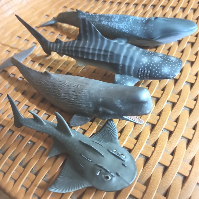 "V.NLN" - TERMURAH Miniatur Ikan Hiu Paus Biru Sperma Sperm Blue Whale Shark Pari