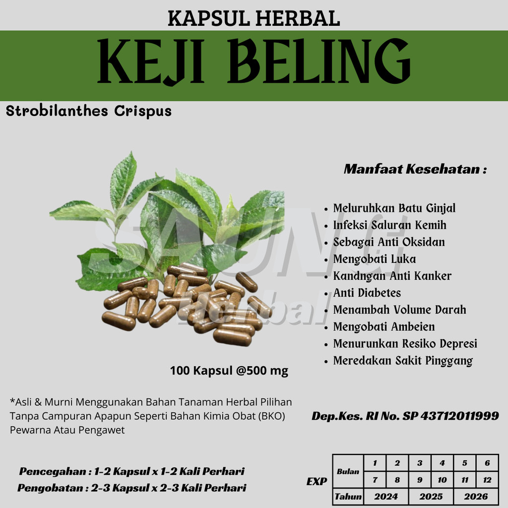 KEJI BELING Kapsul Herbal Batu Ginjal, Diuretik / Pelancar seni