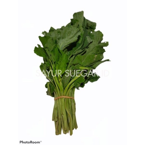 

kailan baby 500 gram