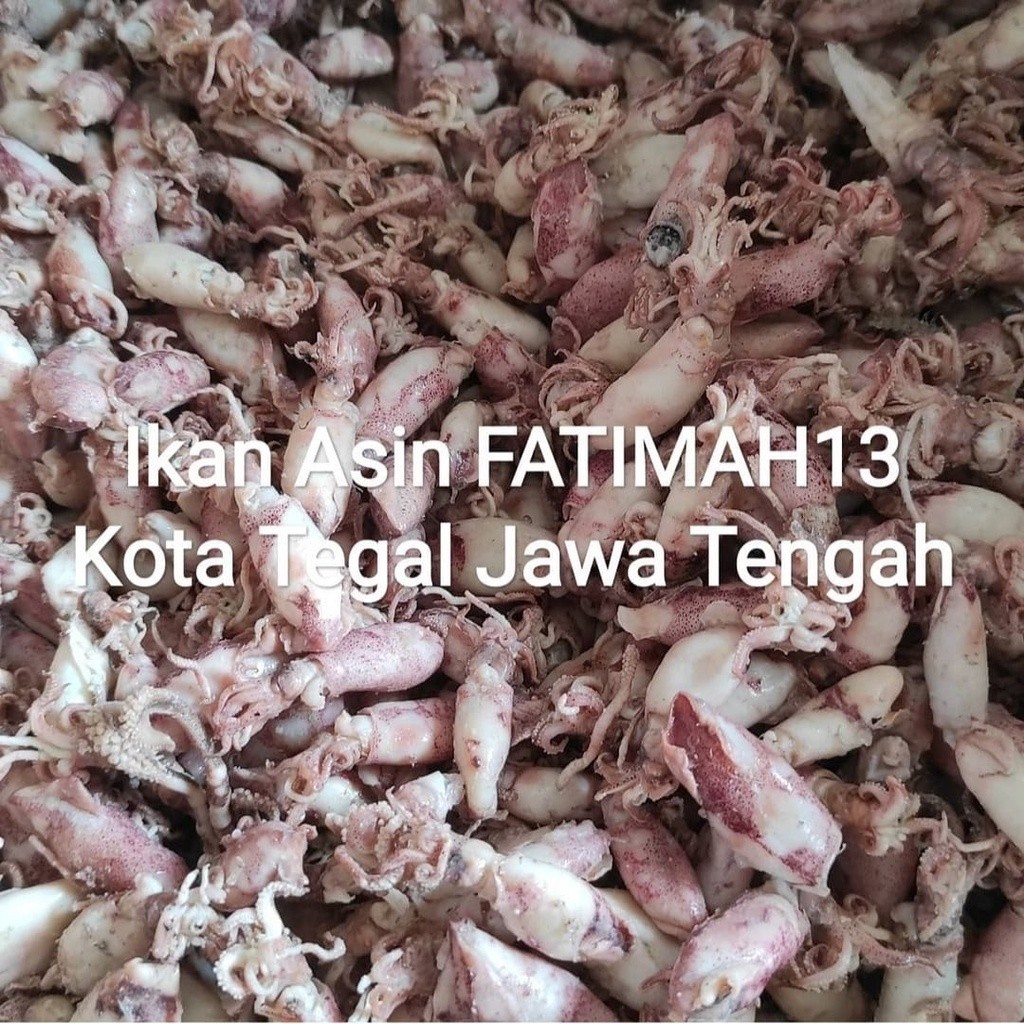 

PROMO PUNCAK Cumi Asin Telor Rebus 100gram Ukuran 3-5cm STOK TERBATAS