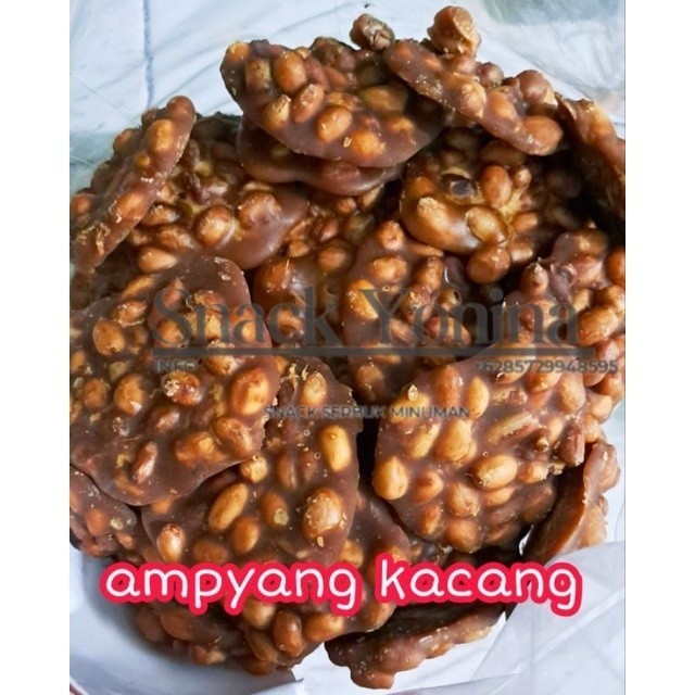 

Ampyang Kacang Gula Jawa 250grGratis Ongkir & COD