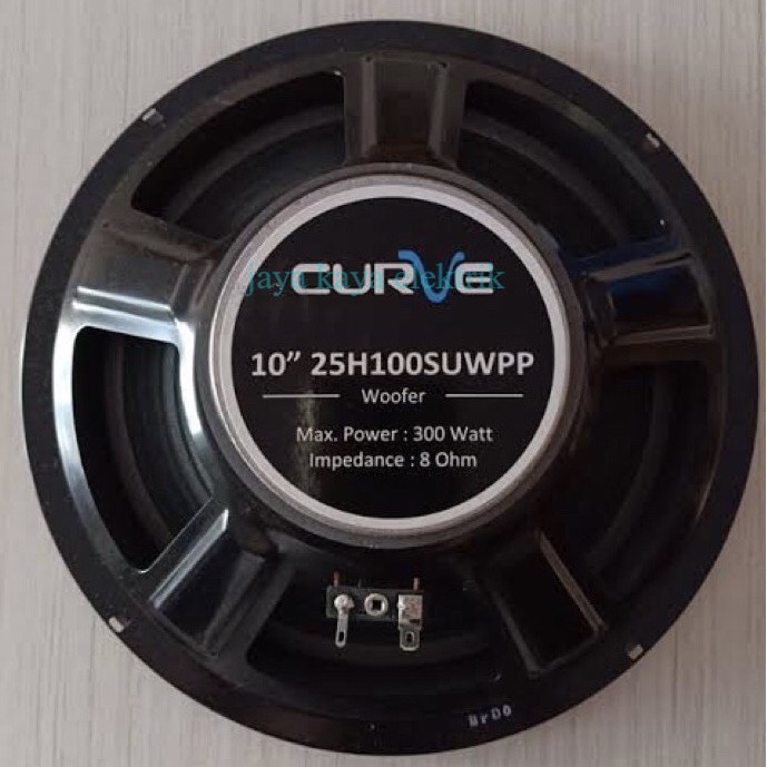Speker CURVE Woofer "10" inch