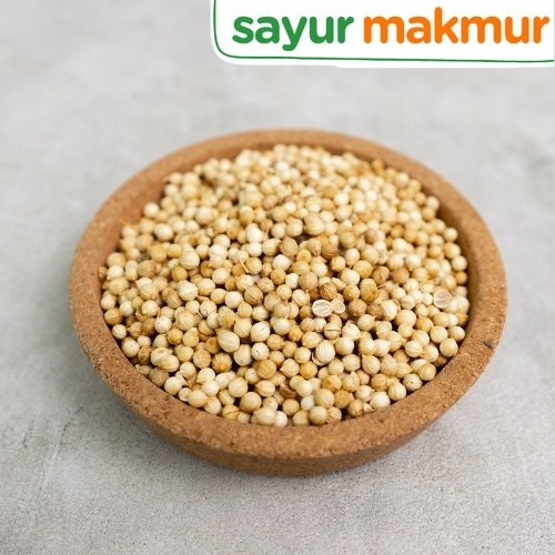 

Biji Ketumbar Konvensional 20 gram Sayurmakmur