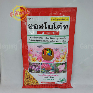 Pupuk Bunga Dekastar OSMOCOTE THAILAND 13-13-13 100gr