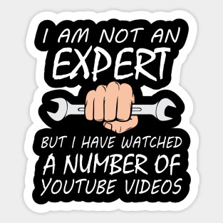 

Not An Expert Mechanic 5PCS Stickers for Background Car Stickers Luggage Living Room Window Water Bottles Home Kid Cute Cartoon