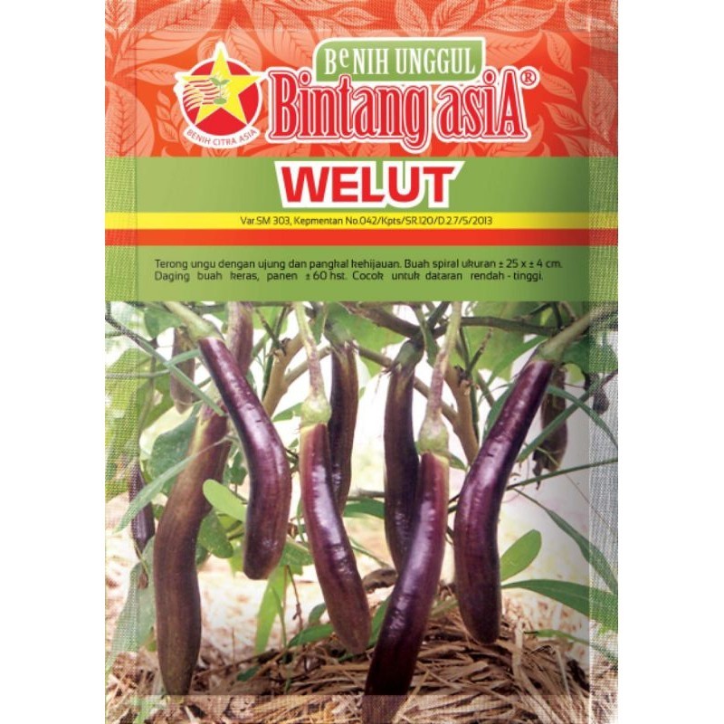 Bibit - Benih Terong ungu ujung dan pangkal kehijauan Welut (Bintang Asia)