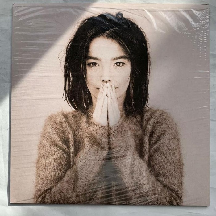 Original Vinyl Bjork Debut Homogenic Post Biophilia Utopia