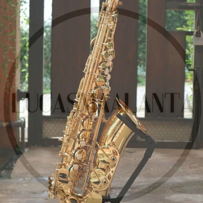 zeff France alto saxophone gold zas 600