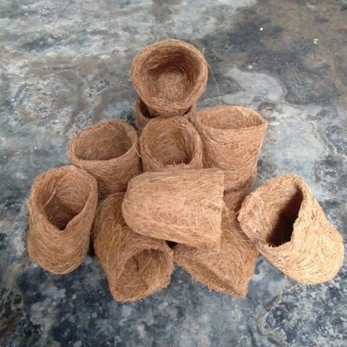 Pot sabut kelapa mini untuk bibit anggrek