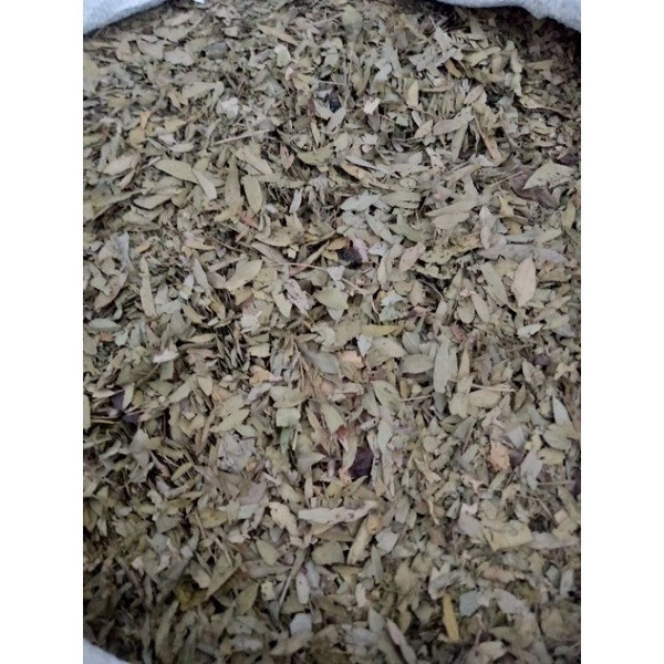 

BUBUK DAUN JATI CINA KERING HIJAU 1 KG Tanaman Free Stiker PIRT Random