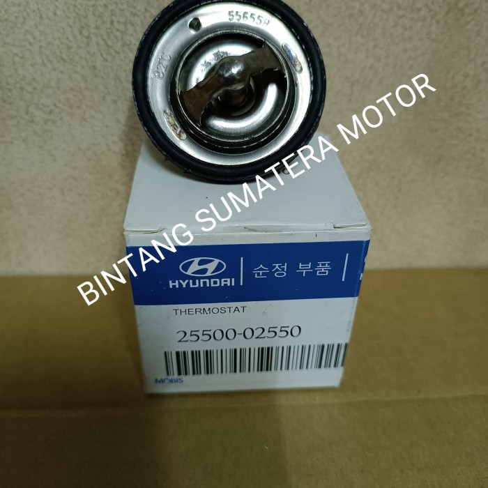 THERMOSTAT VISTO ORIGINAL