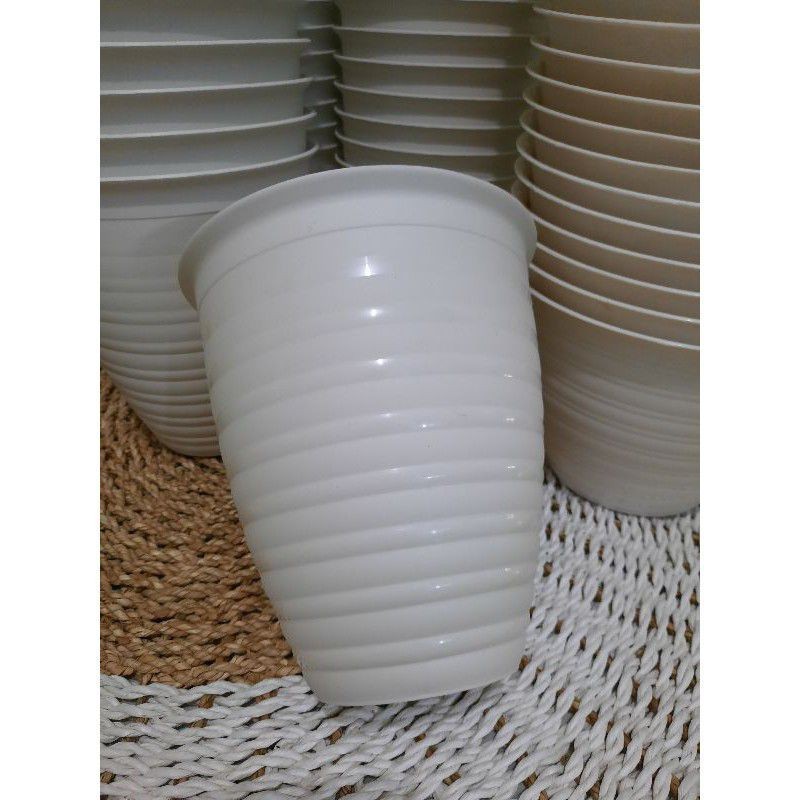 pot SA kumbang tirus 10cm warna putih - POT TANAMAN