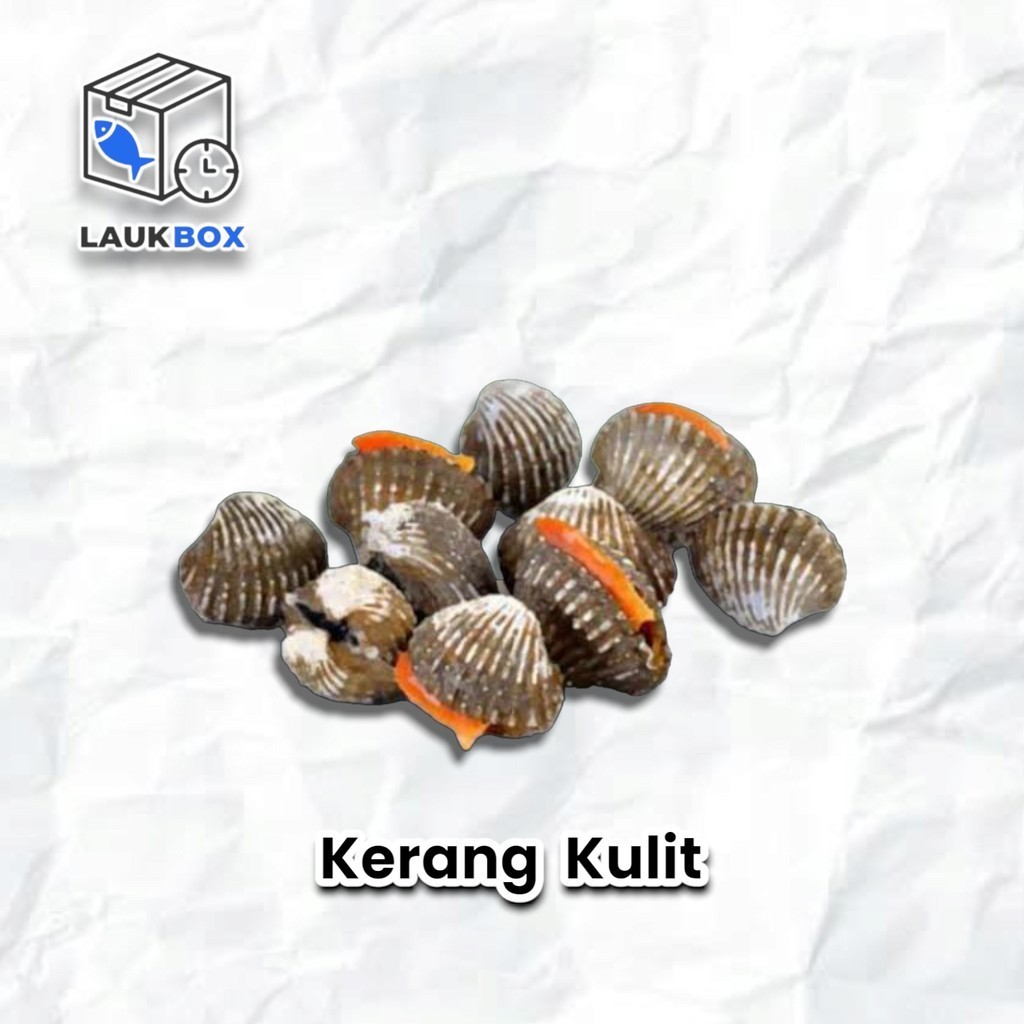 

Kerang Kulit