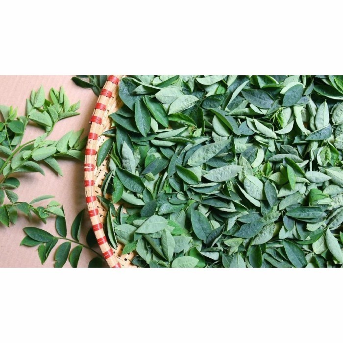 

Daun katuk segar murah