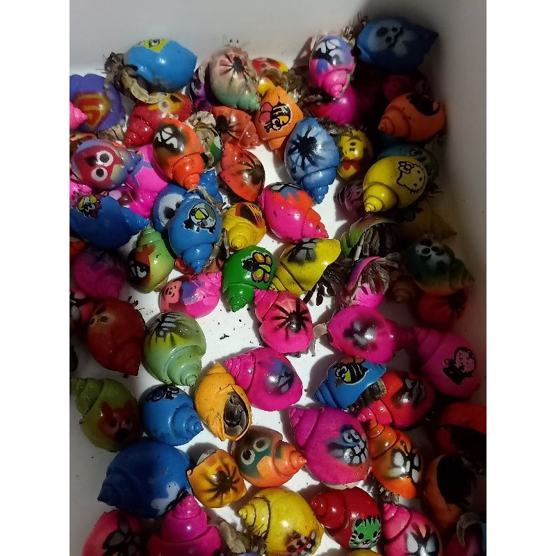 umang umang kelomang warna warni