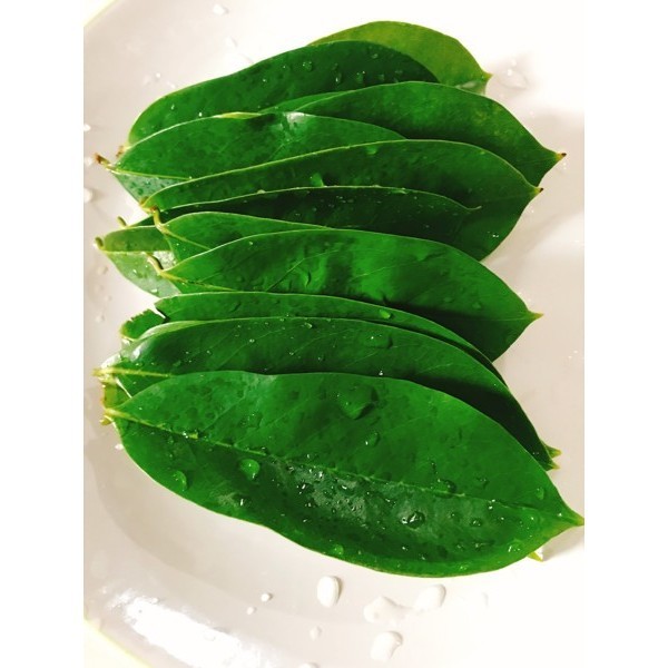 

100lembar DAUN SIRSAK TUA SEGAR ORGANIK KHUSUS UNTUK OBAT HERBAL KANKER AUTOIMUN