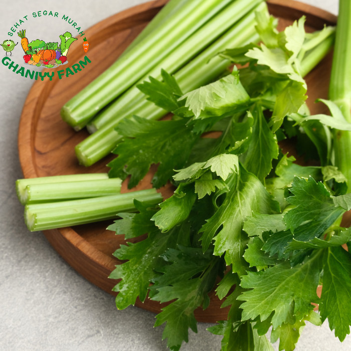 

Sayur organik murah segar by organik indonesia seledri stick organik