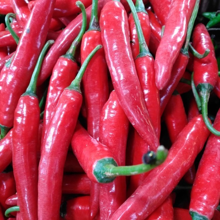 

Cabe Merah Besar 250gr - 1/4 kg