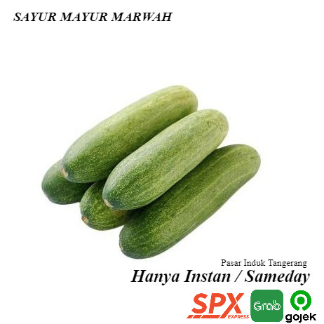 

Grosir Timun Mentimun Segar Sayur 500 gram Murah