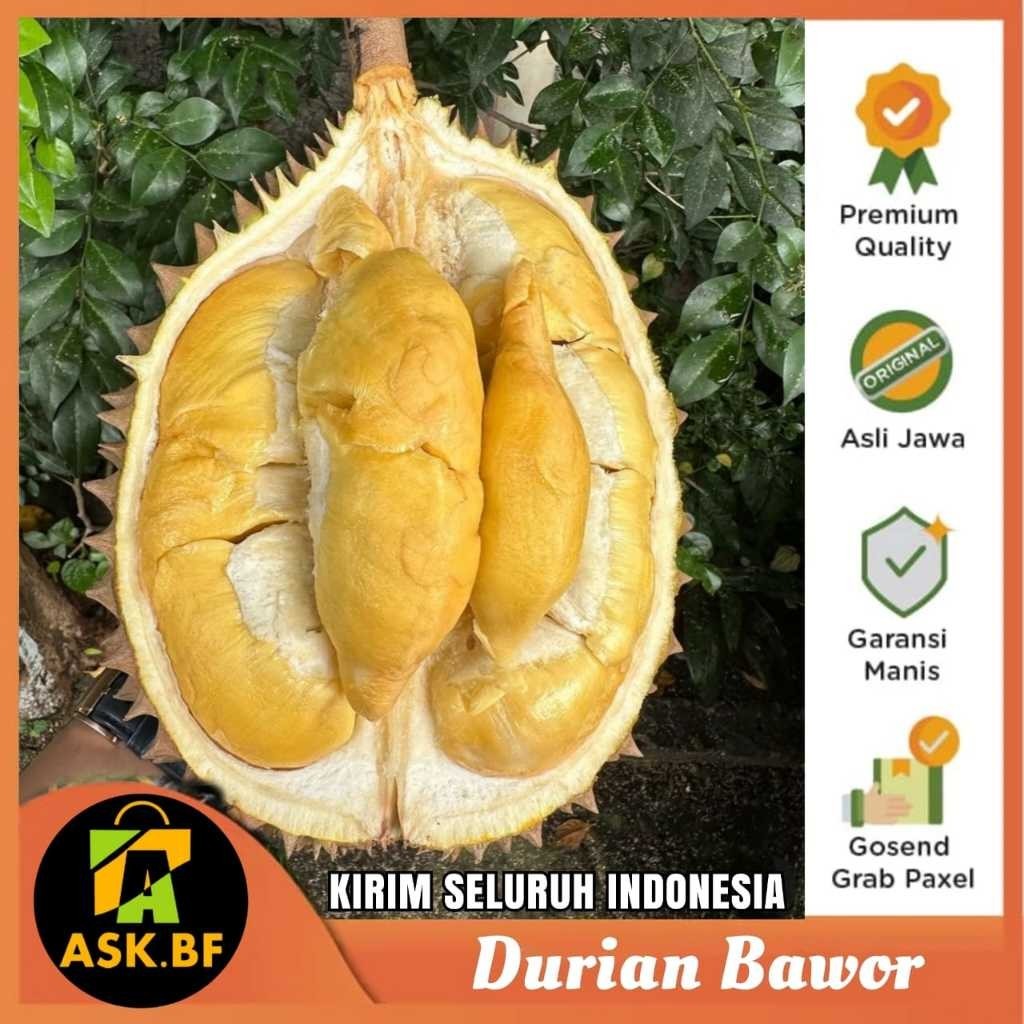 

Durian bawor superan jatuhan Mateng pohon Manis,Daging tebal, Bergaransi 100%