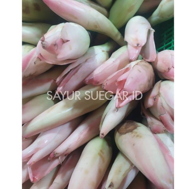 

Kecombrang/250 gram