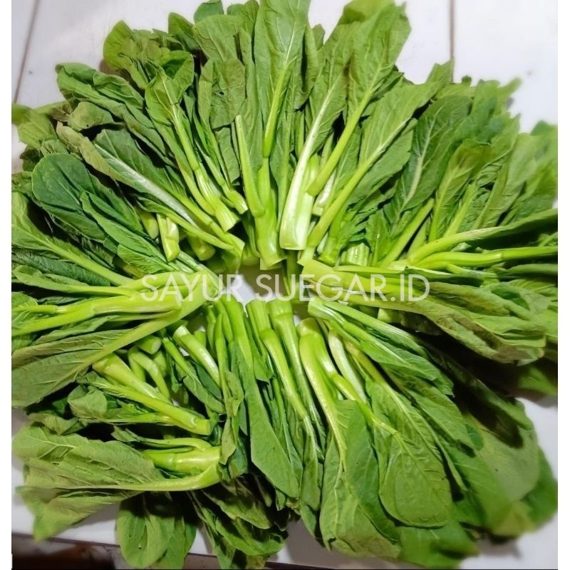 

sayur sawi manis / caisim manis 500 gram