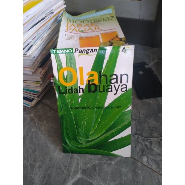 OLAHAN LIDAH BUAYA - YOHANES K - D2