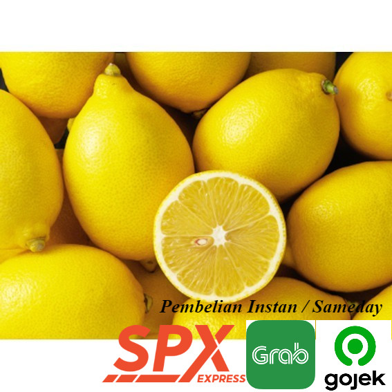 

Grosir 500 gram Jeruk Lemon Import Segar Murah Kiloan