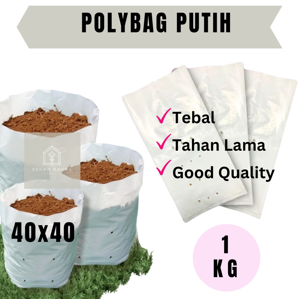 GROSIR 1KG POLYBAG 40x40 PUTIH Tebal Garden of LovePolibek Polibag Tanaman 40 cm Kecil Sedang Sedeng