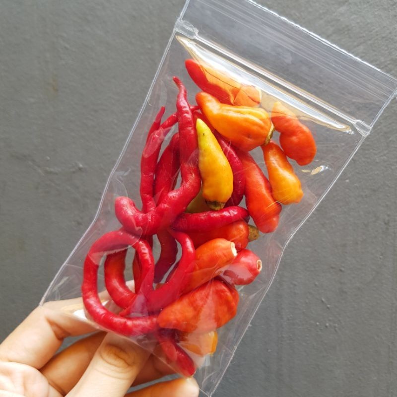

KIRIM INSTAN Paket Ngekost Cabe
