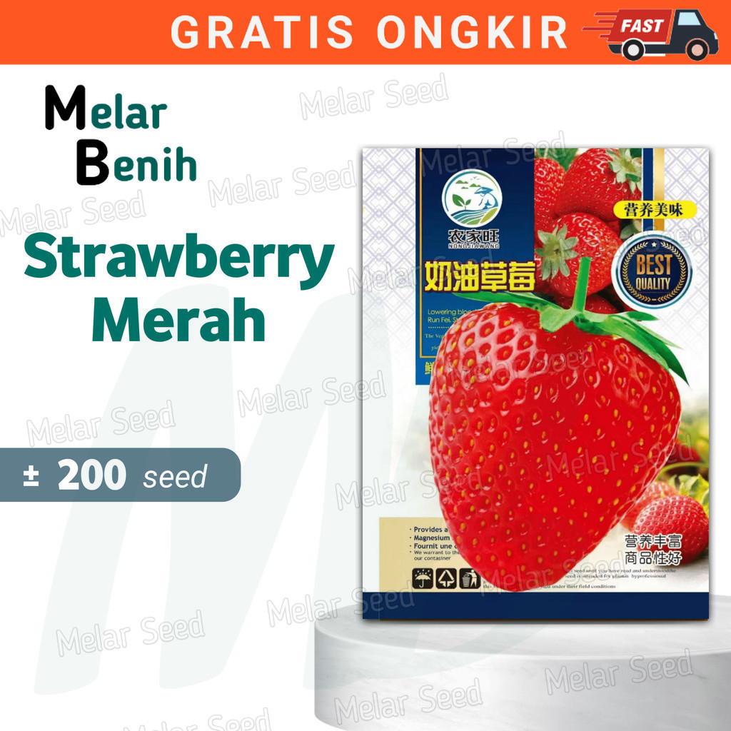 Melar Seed Benih Strawberry JUMBO Rasa Manis Bibit Buah Benih Buah [B]