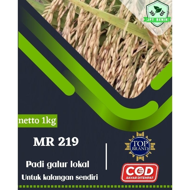benih padi mr 219 1kg